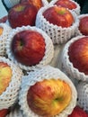 Pile of red apple in the white Fruit Packaging Foam Net. Royalty Free Stock Photo